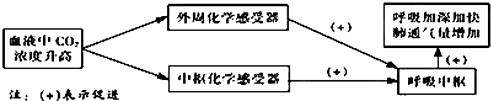 菁優(yōu)網