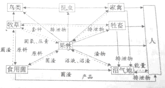 高中生物試題 > 試題解析 (1)從食物關係看,圖中有 5 5條食物鏈,家禽