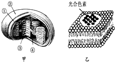 菁優(yōu)網(wǎng)