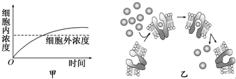 菁優(yōu)網(wǎng)