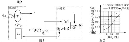 菁優(yōu)網(wǎng)