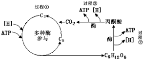 菁優(yōu)網(wǎng)