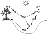 菁優(yōu)網(wǎng)