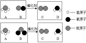 氨气与氮氧化物发生化学反应,降低污染物排放,反应的微观示意图如图