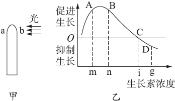 菁优网