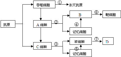 菁優(yōu)網(wǎng)