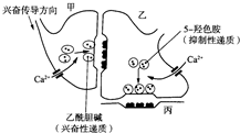 菁優(yōu)網(wǎng)