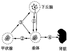 菁優(yōu)網