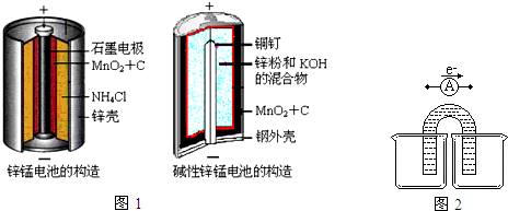 请仔细观察两种电池的构造示意图(如图1),回答下列问题: (1