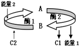 菁優(yōu)網(wǎng)