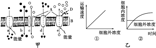 菁優(yōu)網(wǎng)