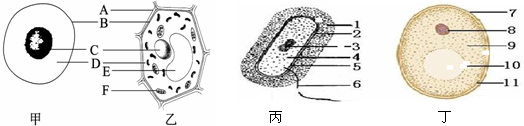 菁優(yōu)網