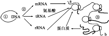 菁優(yōu)網