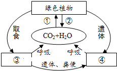 菁優(yōu)網(wǎng)