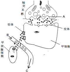 菁優(yōu)網(wǎng)