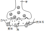 菁優(yōu)網(wǎng)