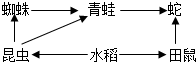 菁優(yōu)網(wǎng)