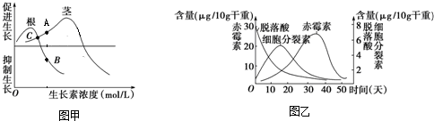 菁優(yōu)網