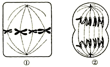 菁優(yōu)網