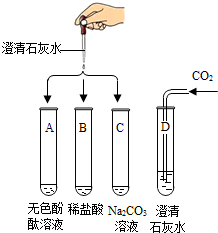 菁優(yōu)網