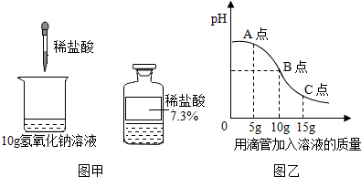 (2012长清区校级模拟)将图甲所示的稀盐酸滴入盛有10g氢氧化钠溶液(滴