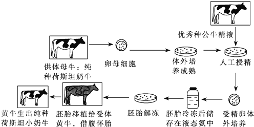 菁優(yōu)網