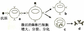 菁優(yōu)網