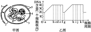 菁優(yōu)網