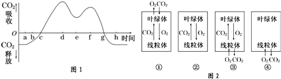 菁優(yōu)網