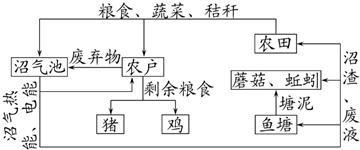 菁優(yōu)網(wǎng)