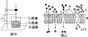 菁優(yōu)網(wǎng)