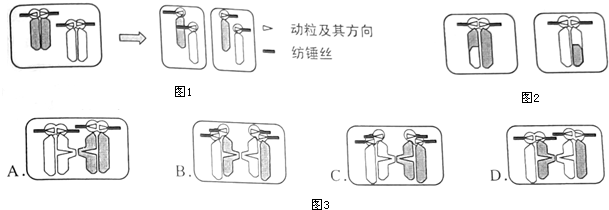 菁優(yōu)網(wǎng)