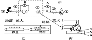 菁優(yōu)網(wǎng)