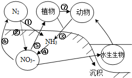 菁優(yōu)網(wǎng)