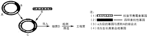 菁優(yōu)網(wǎng)