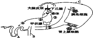 菁優(yōu)網(wǎng)