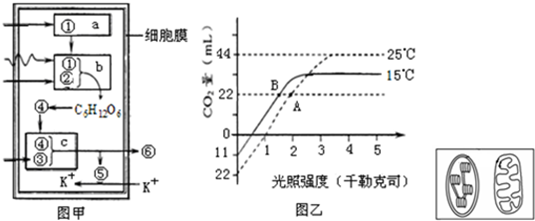 菁優(yōu)網(wǎng)