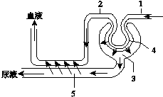 菁優(yōu)網