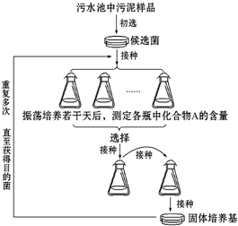 菁優(yōu)網