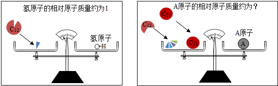 認真分析測定相對原子質量的示意圖,推斷a原子的相對原子質量約為( )