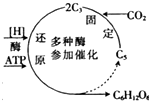 菁優(yōu)網(wǎng)