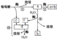 菁優(yōu)網(wǎng)