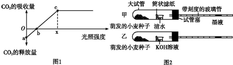 菁優(yōu)網