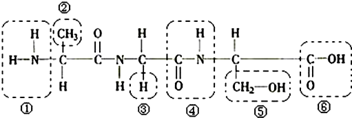 如圖為某一多肽化合物的結構示意圖,據圖回答第56-59小題