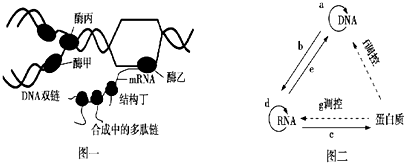 菁優(yōu)網