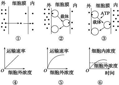 主动扩散图片