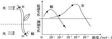 菁優(yōu)網(wǎng)