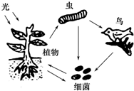 菁優(yōu)網(wǎng)