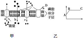 菁優(yōu)網(wǎng)