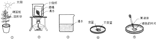 菁優(yōu)網